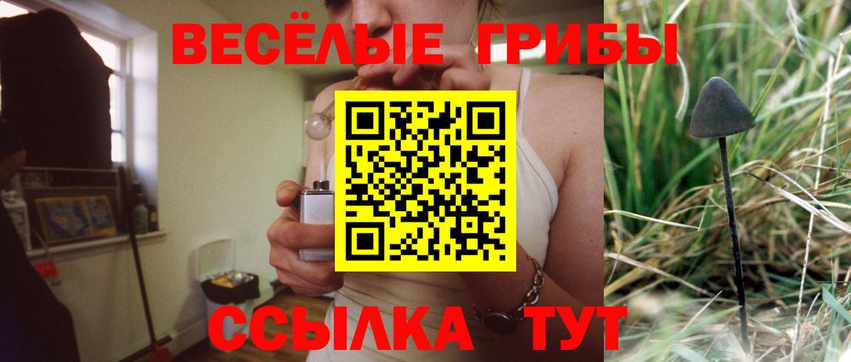 Псилоцибиновые грибы ЛСД  Псилоцибиновые грибы ЛСД  Дятьково  Вход с VPN 